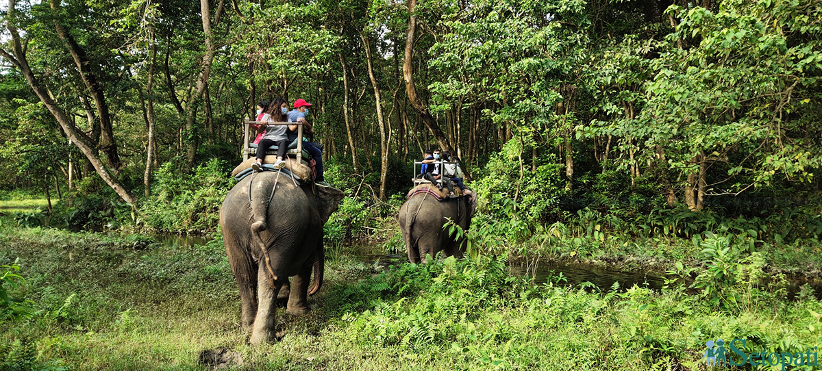 फाइल तस्बिर।